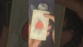 Past Present Future 🙏Tarot and Oracle Reading 🔮
