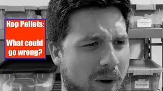 What do Hop Pellets taste like? *Ryan's final thoughts at the end*