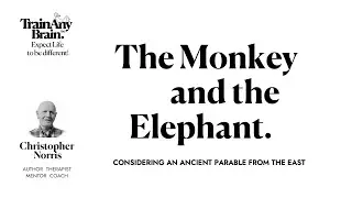 The Monkey and the Elephant