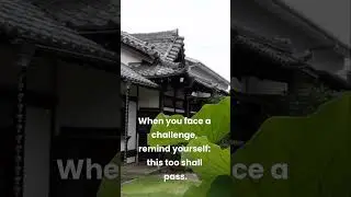 Embracing Impermanence: The Path to Inner Peace | #mindbloomwisdom