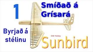 DW Hobby Sunbird 01