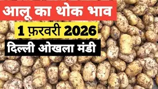 1 February 2026🥔आलू का भाव दिल्ली ओखला मंडी | toady potato rates #aalu #aalubhav #potato #delhimandi