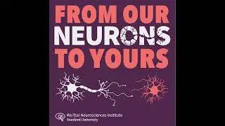 Assembling the brain | Sergiu Pasca