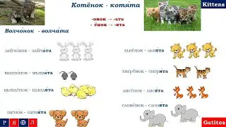 Learn Russian Online. Russian Grammar. Plural of Nouns. Множественное число существительных.