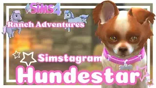 Sims 4 - Horse Ranch : 𝐖𝐢𝐫𝐝 𝐓𝐨𝐟𝐟𝐞𝐞 𝐛𝐞𝐫&uuml;𝐡𝐦𝐭?  🐴│Let&acute;s Play [DEUTSCH] #03