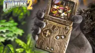 Donkey Kong Country 2 - Primal Rave (fusion mix)