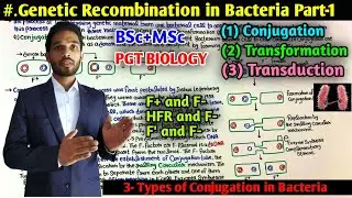 Genetic Recombination in Bacteria || Types of Conjugation in Bacteria || BSc first year ||MSc || PGT