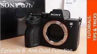 How to activate Anti Dust Function / Closed Shutter in your Sony Alpha 7 IV - Fast & Easy Tutorial