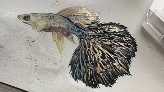 Watercolor Fish, Fast painting