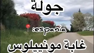 جولة في غابة مونييلوس📍