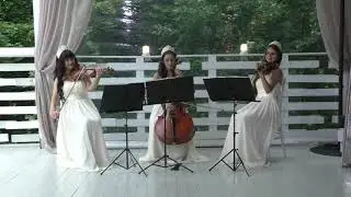 Встреча гостей на свадьбе - струнное трио Violin Group DOLLS