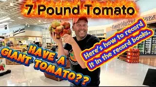 Turning your Giant Tomato into a Record!!