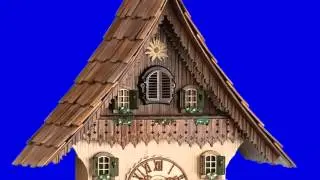 Clock Motion Animated Cuc&uacute; - Blue Screen HD