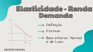Elasticidade - Renda da Demanda