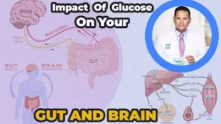 From Gut to Brain: The Deep Dive into Glucose Metabolism and Health | Dr. Nandi