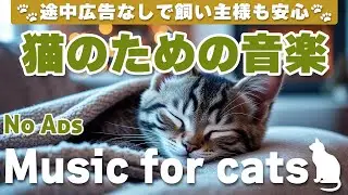 猫が落ち着く音楽 (12時間途中広告なし) /猫をリラックスさせるピアノ音楽 / No Ads/12 hours/piano/Relaxing music for cats_vol.263
