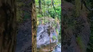 Shangla #travel #tourism #nature #exploreswat #naturephotography