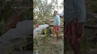 #Texmo [Taro 7.5Hp Openwell Motor] Installation