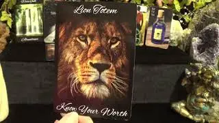 ♎️Libra | ☆ A Wish Is Being Fulfilled ☆ | September Tarot Forecast
