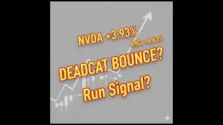 NVDA+3.9% ORCL+6.6% Nasdaq&rsquo;s Surprise Rally: DEADCAT BOUNCE? RUN Signal?