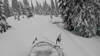 Arctic cat Alpha one in great snow!