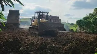 Bulldozer & Dump Trucks Working Together Filling Land