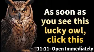 ✨11:11💌As Soon As You See This Lucky Owl, Click This🦋