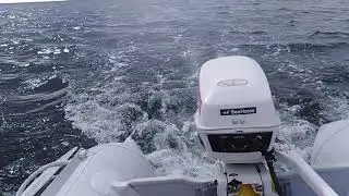 4.5hp Johnson Sea-Horse