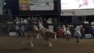 Jake Larson pro rodeo bronc rider at the 2019 Box Elder County Fair Wednesday night rodeo