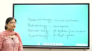 Fuel Value of Foods by Dr Rashmi Singh