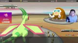 WEATHER BALL VENUSAUR MADE TOGEKISS THINK TWICE?! PokeMMO PvP with Live Commentary