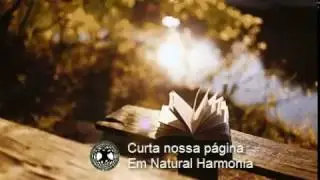 Em Natural Harmonia - A realidade que voc&ecirc; vive - Chico Xavier