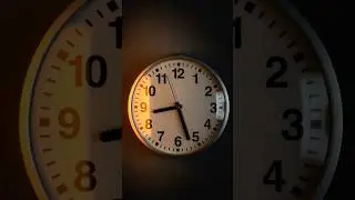 Why time fly&rsquo;s ⏱️