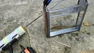 沉浸式釣魚體驗 微釣馬口