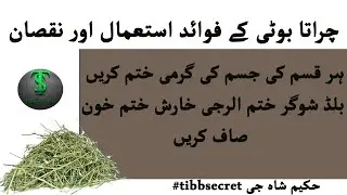 Health Benefits of Charaita/chirata ke fayde/chirata peene ka tarika/chirata  ke nuksan#tibbsecret