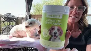 ✨ Dog Teeth Cleaning Wipes Review | Easy Fresh Breath & Tartar Removal for Pets!