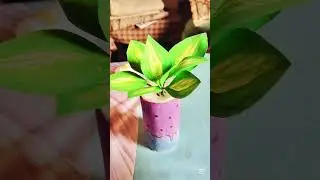 how I make paper plans🌱🌿#foryou #plants #unfreezmyaccount
