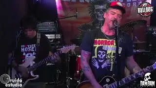 BULLDOG EN VIVO!!!  (Transmisión #105)