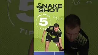 5 helpful tips for snake shot 🐍🏓 #tabletennis #pingpong #tips #snakeshot #lesson #tenisdemesa