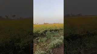 #music #india #love #gujrat #song #global #news #bollywood #funny #nature #lover #tree #farmer #gir