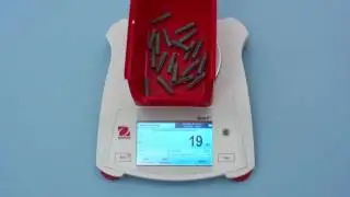 Ohaus Scout STX St&uuml;ckz&auml;hlung
