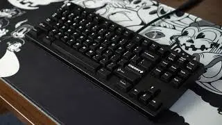 Bias Sound Test - OPBlack Switches