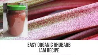 Easy Organic Rhubarb Jam Recipe