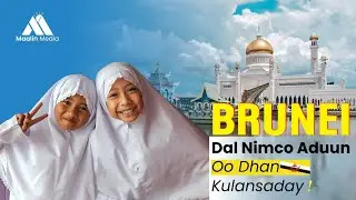 Brunei | Dal Nimca Aduun Oo Dhan Kulansaday 🇧🇳