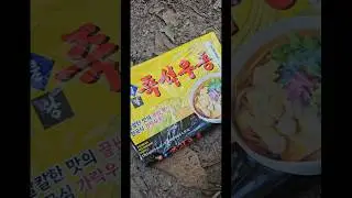 Udon First Cousin to Ramen Noodles