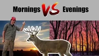 How to decide if a spot is good for morning or evening hunts with Dan Infalt