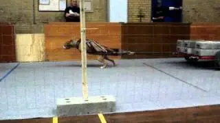 Valkys gulddrag p&aring; Europeiska M&auml;sterskapen i Weightpull 2010