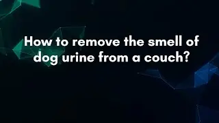 How to remove the smell of dog urine from a couch?