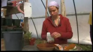 Growing Greens in Hoop Houses : Custom Seed Mixing for Greens