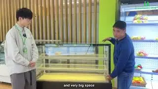 Glass Front Open Cake Display Freezer Self - Contain